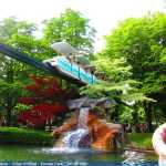 img-8977.jpg