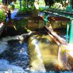 img-8988.jpg