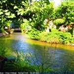 img-8989.jpg