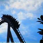 img-9005.jpg