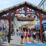 europa-park-16-08-2019-083.jpg