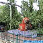 europa-park-17-08-2019-042.jpg