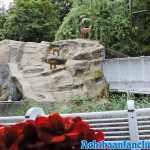 europa-park-17-08-2019-056.jpg