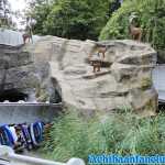 europa-park-17-08-2019-058.jpg