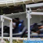 europa-park-17-08-2019-065.jpg