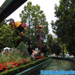 europa-park-17-08-2019-093.jpg