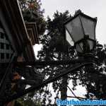 europa-park-17-08-2019-101.jpg