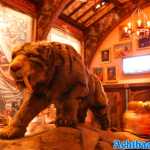 europa-park-20-05-2022-007.jpg
