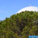 europa-park-20-05-2022-022.jpg