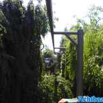 europa-park-20-05-2022-027.jpg