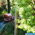 europa-park-20-05-2022-030.jpg