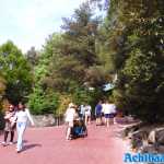 europa-park-20-05-2022-115.jpg