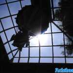 europa-park-21-05-2022-063.jpg