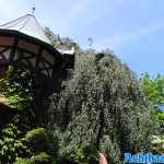europa-park-21-05-2022-077.jpg