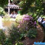europa-park-21-05-2022-085.jpg