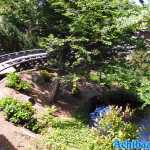 europa-park-21-05-2022-087.jpg