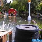 europa-park-21-05-2022-128.jpg