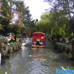 europa-park-21-05-2022-129.jpg