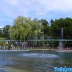 europa-park-21-05-2022-137.jpg