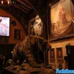 europa-park-25-07-2023-015.jpg