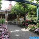 europa-park-25-07-2023-126.jpg