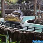 europa-park-25-07-2023-192.jpg