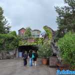europa-park-25-07-2023-220.jpg