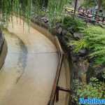 europa-park-25-07-2023-228.jpg