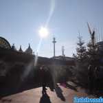 europa-park-03-12-2023-002.jpg