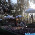europa-park-03-12-2023-022.jpg