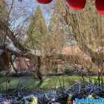 europa-park-03-12-2023-045.jpg