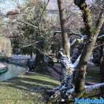 europa-park-03-12-2023-048.jpg