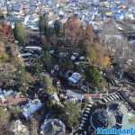 europa-park-03-12-2023-061.jpg
