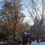 europa-park-03-12-2023-085.jpg