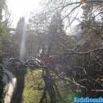 europa-park-03-12-2023-088.jpg