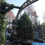 europa-park-03-12-2023-090.jpg