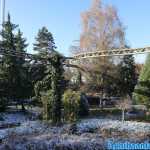 europa-park-03-12-2023-092.jpg