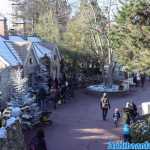 europa-park-03-12-2023-093.jpg