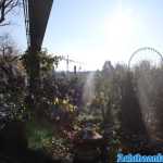 europa-park-03-12-2023-109.jpg