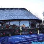 europa-park-03-12-2023-114.jpg