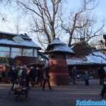 europa-park-03-12-2023-115.jpg