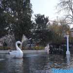 europa-park-03-12-2023-121.jpg