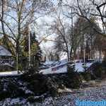europa-park-03-12-2023-146.jpg