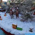 europa-park-03-12-2023-150.jpg
