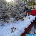 europa-park-03-12-2023-151.jpg
