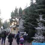 europa-park-03-12-2023-223.jpg