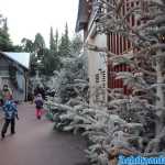europa-park-03-12-2023-225.jpg