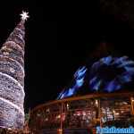 europa-park-03-12-2023-310.jpg