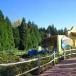 img-1090.jpg