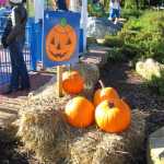 img-1108.jpg